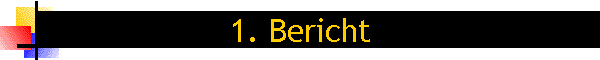 1. Bericht