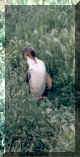 Pinguin.jpg (182349 Byte)